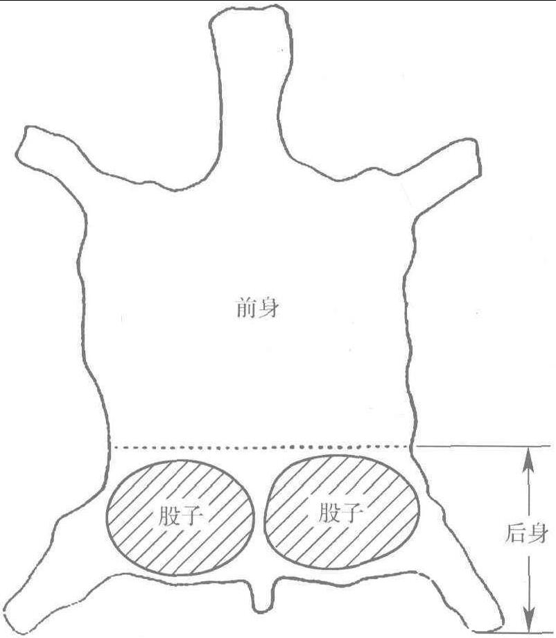 第二節(jié) 雜皮及其它鞋面革